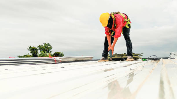 Best Steel Roofing  in Montalvin Manor, CA