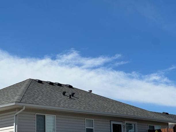 Best Roof Moss and Algae Removal  in Montalvin Manor, CA